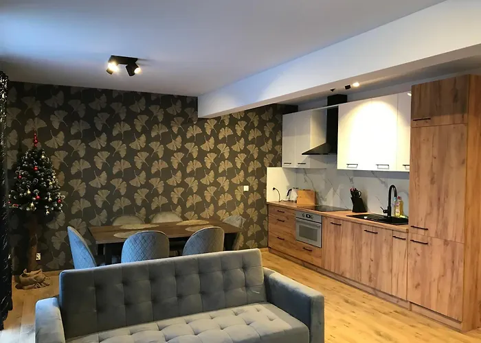 Apartament Brazowy 12/1